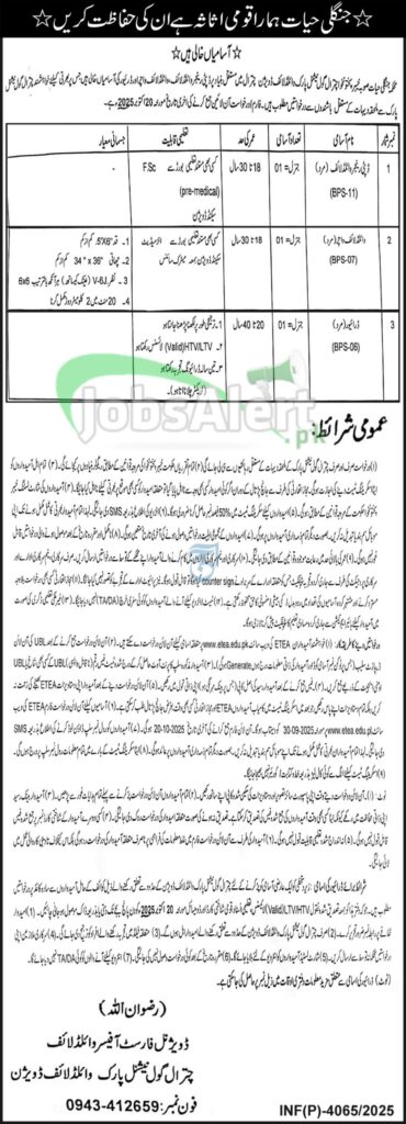 Chitral Gol National Park Jobs 2025 Application Details